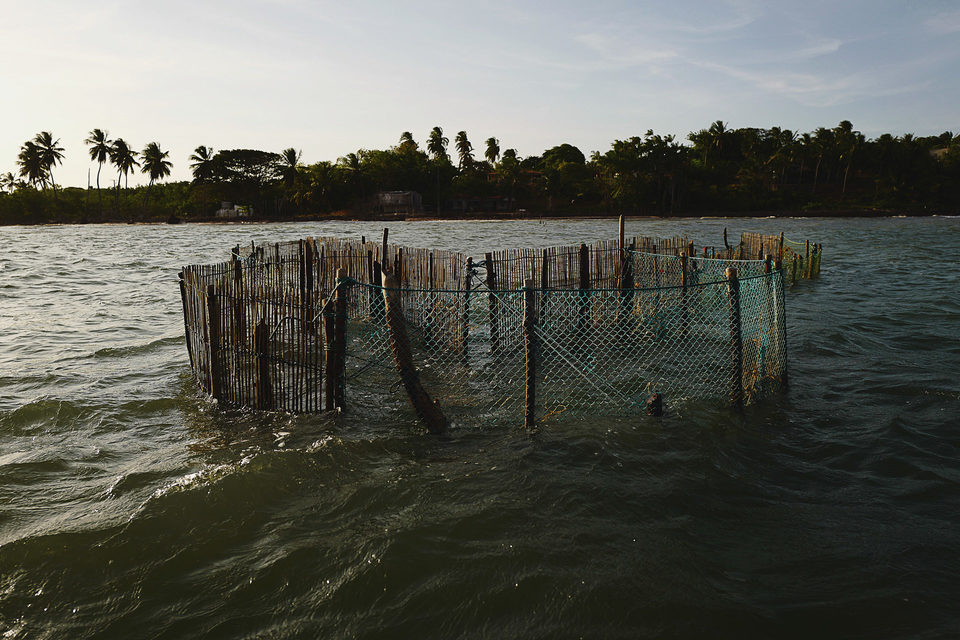 Fortalezinha - Ilha de Maiandeua Fortalezinha - Ilha de Maiandeua